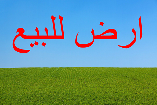 صورة 1